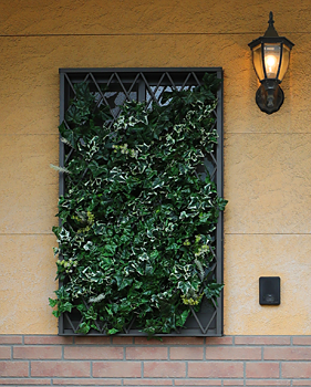 きのいおり 生の庵 ki no iori